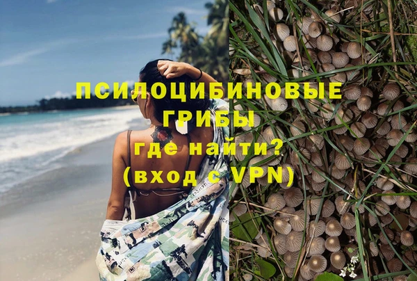 не бодяженный Алексин