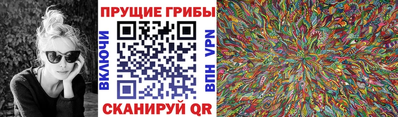 OMG зеркало  Юрьевец  Галлюциногенные грибы прущие грибы 